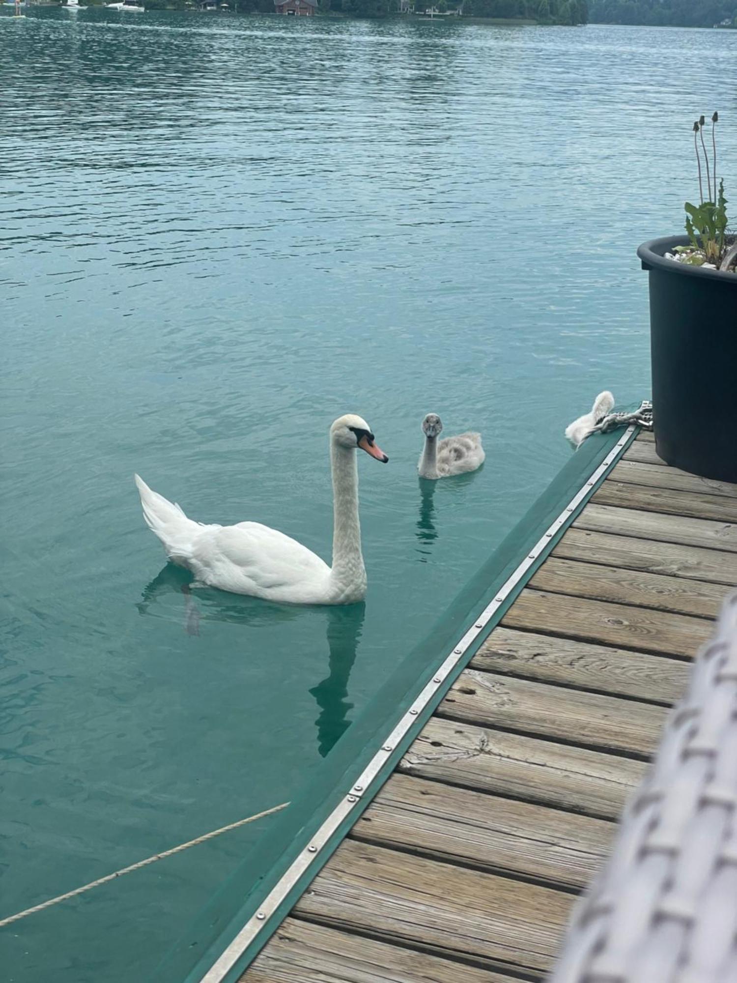 Strandhaus Am Woerthersee Velden am Wörthersee Kültér fotó